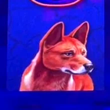 Big Red dingo symbol